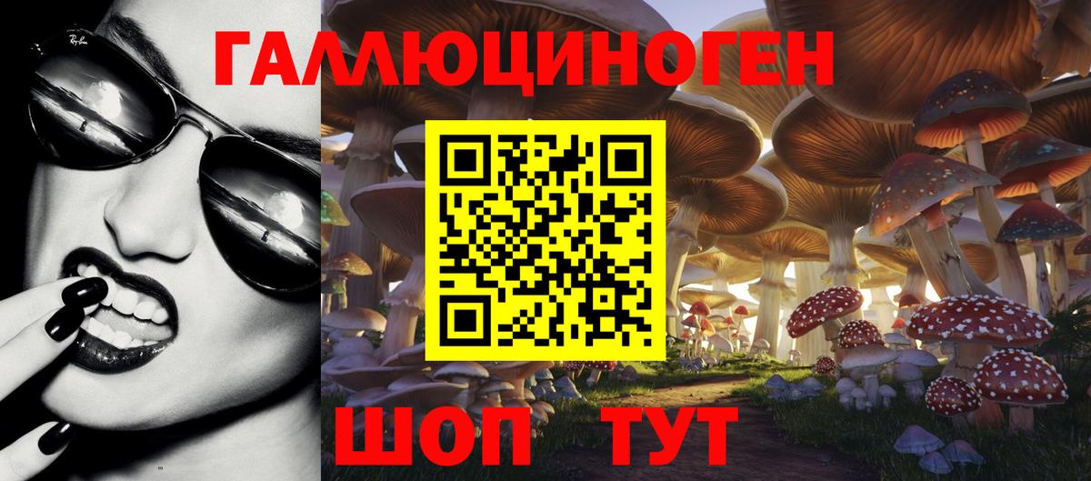 Псилоцибиновые грибы MAGIC MUSHROOMS  Вход с VPN  Торжок 